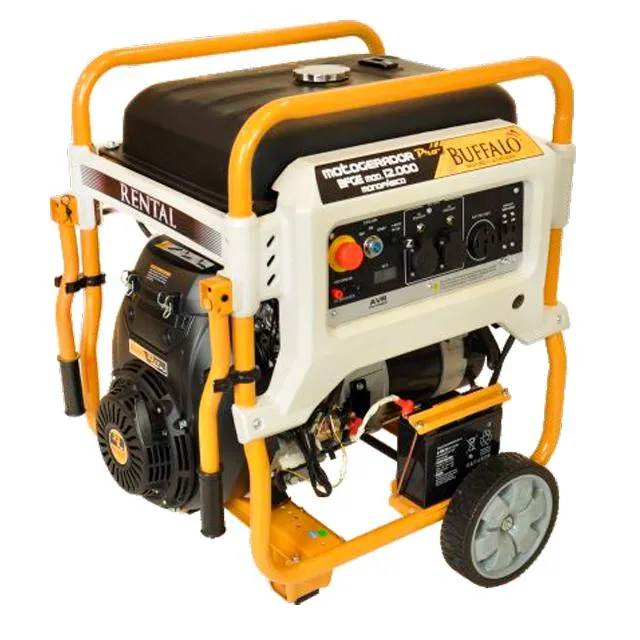 Motogerador BFGE 12.000 Rental